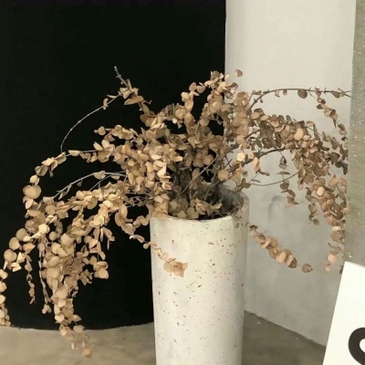 Furry插画构图灵感兽圈群